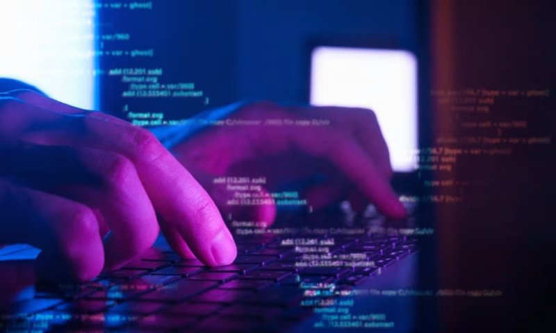 乐东高端网站建设：微应用，能否成为业务适配的最优解？